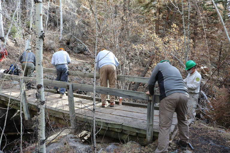 Bridge Building Roaring Creek